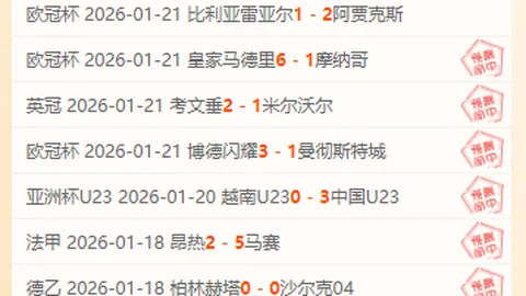 【奢华之痛：阿森纳VIP尊享之旅引争议，工薪球迷望尘莫及的昂贵体验】