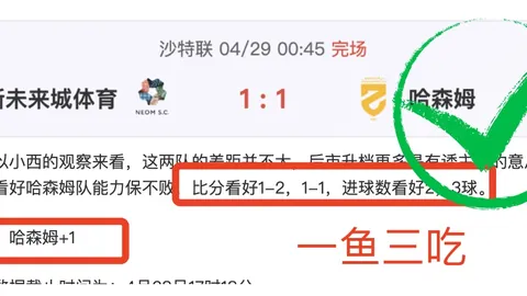 马来西亚羽毛球公开赛：李诗沣成功闯入下一轮